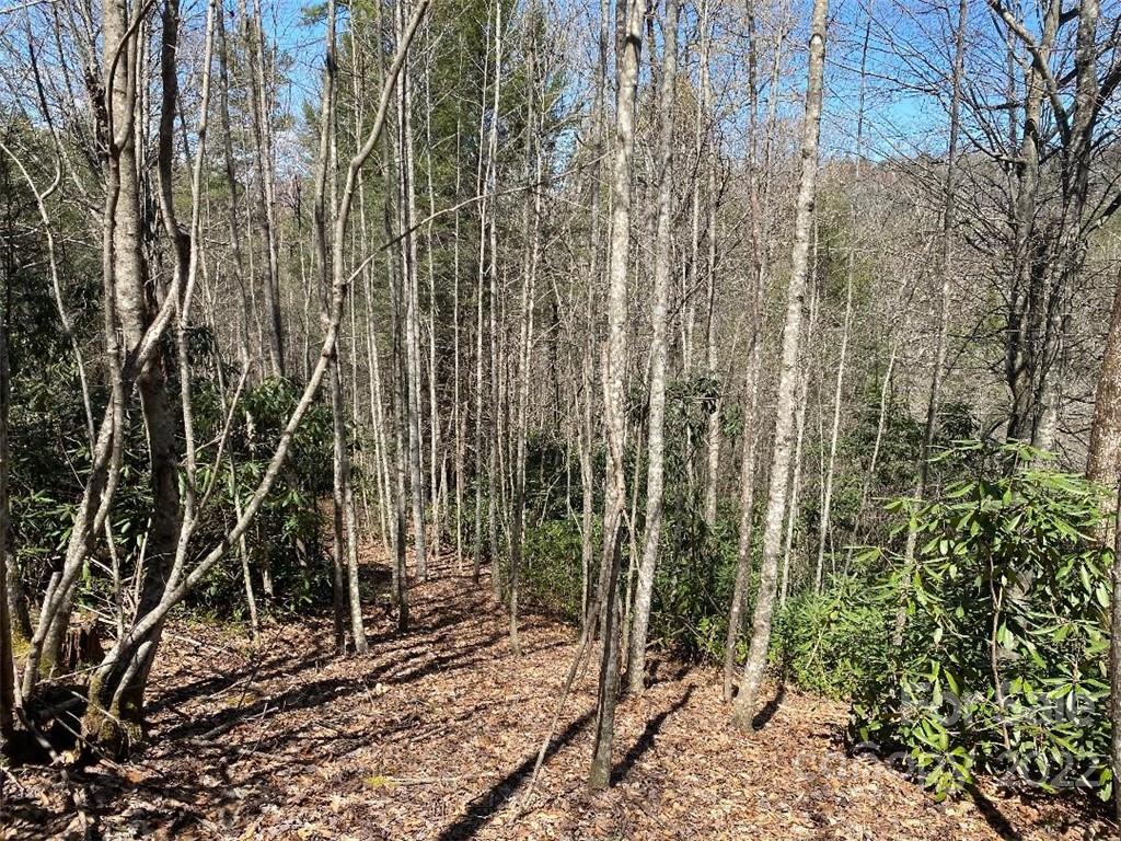 V/l Lytle Mountain Road, Unit 4 Marion, NC 28752 - Photo 14 of 19 Gallery Image 14