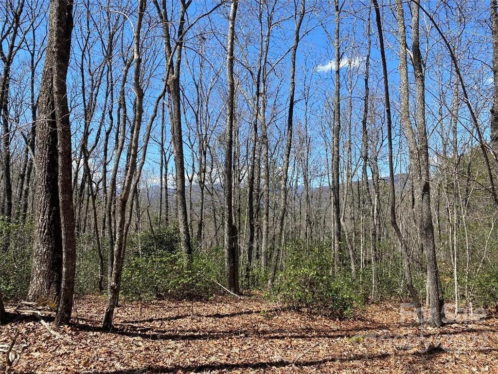 V/l Lytle Mountain Road, Unit 4 Marion, NC 28752 - Photo 8 of 19 Gallery Image 8