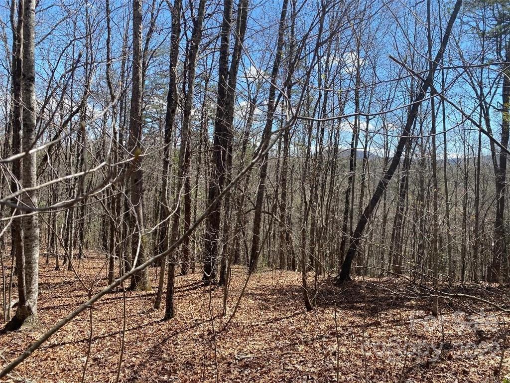 V/l Lytle Mountain Road, Unit 4 Marion, NC 28752 - Photo 10 of 19 Gallery Image 10