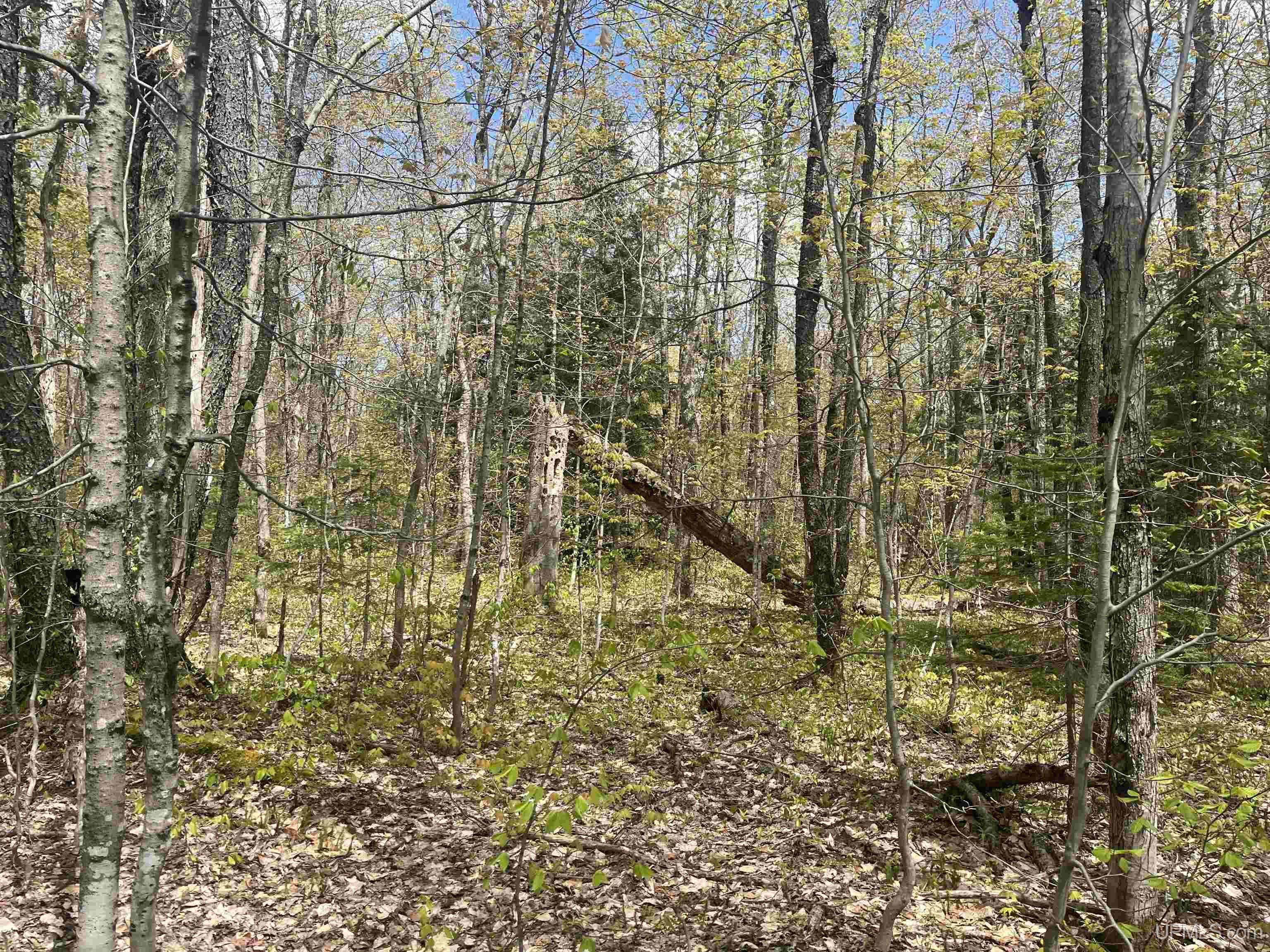 450 Rd Seney Mi 49883 Road Seney, MI 49883 - Photo 10 of 33