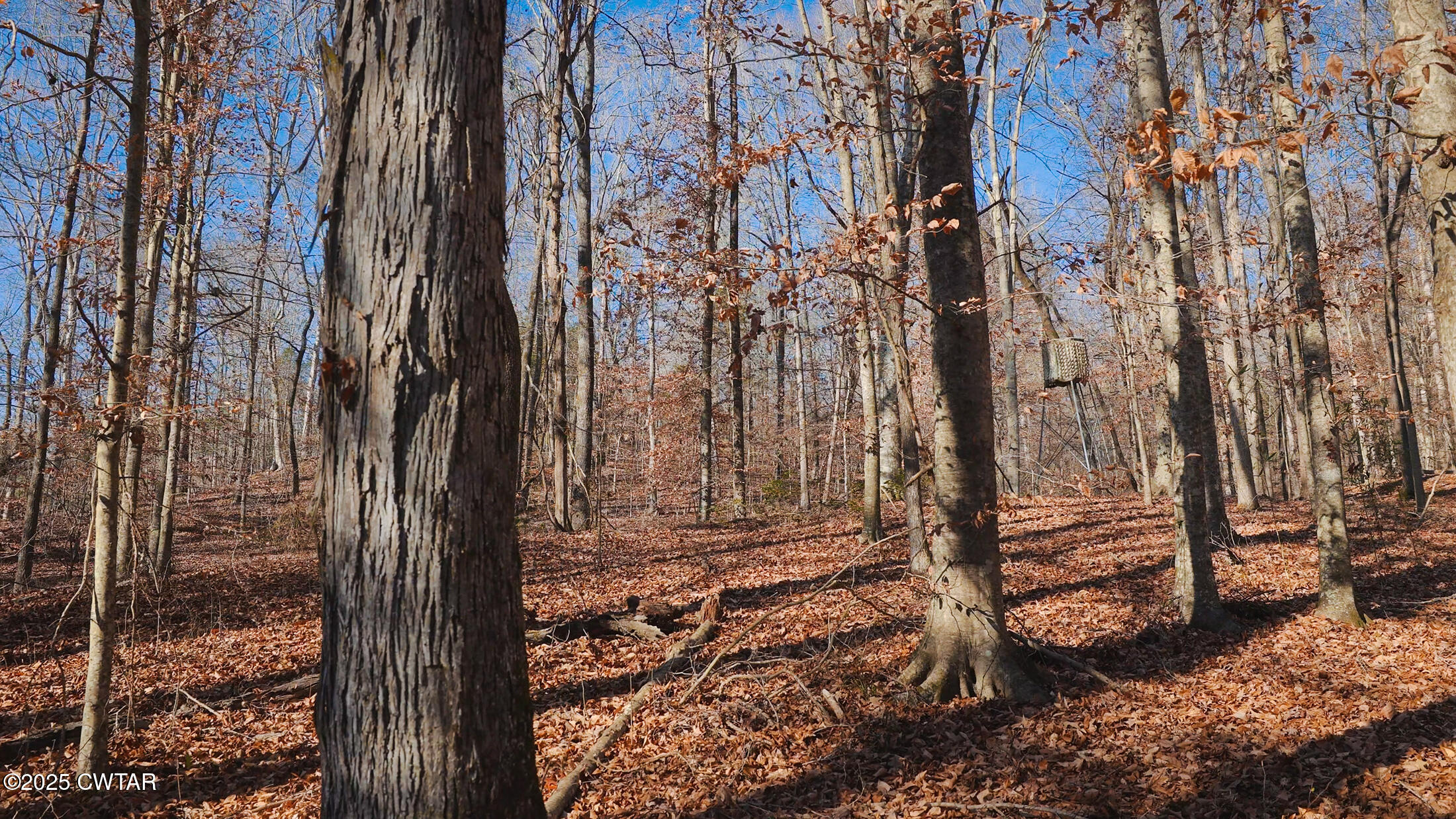 0 Tn-18 Bolivar, TN 38008 - Photo 25 of 30 a view of a backyard of the house