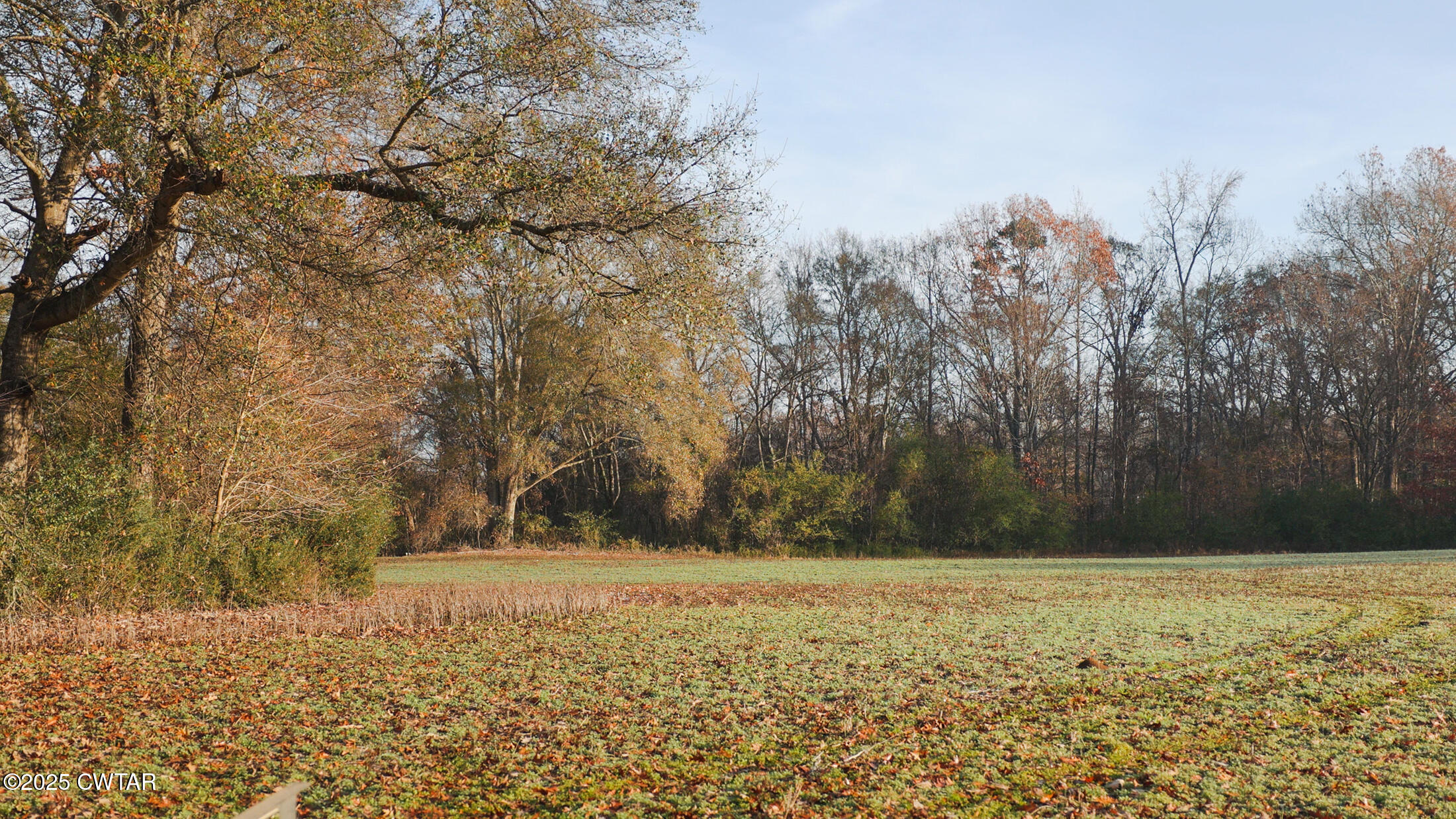0 Tn-18 Bolivar, TN 38008 - Photo 26 of 30 a view of sink and trees