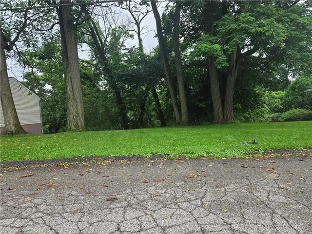 a view of a yard with trees