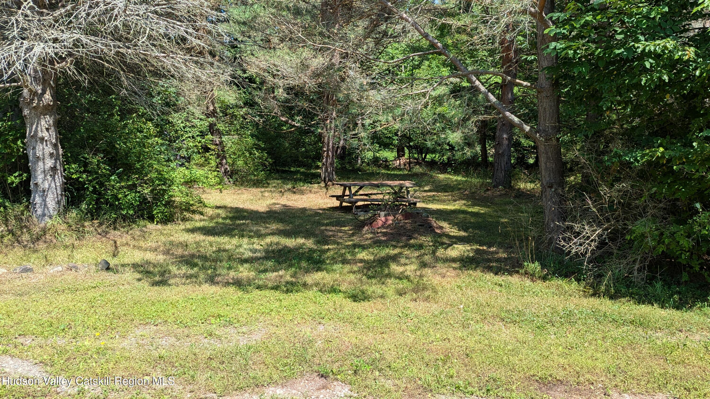 159 Mountain Pond View Road Gilboa, NY 12076 - Photo 21 of 23 PXL_20250802_174635058 (1)