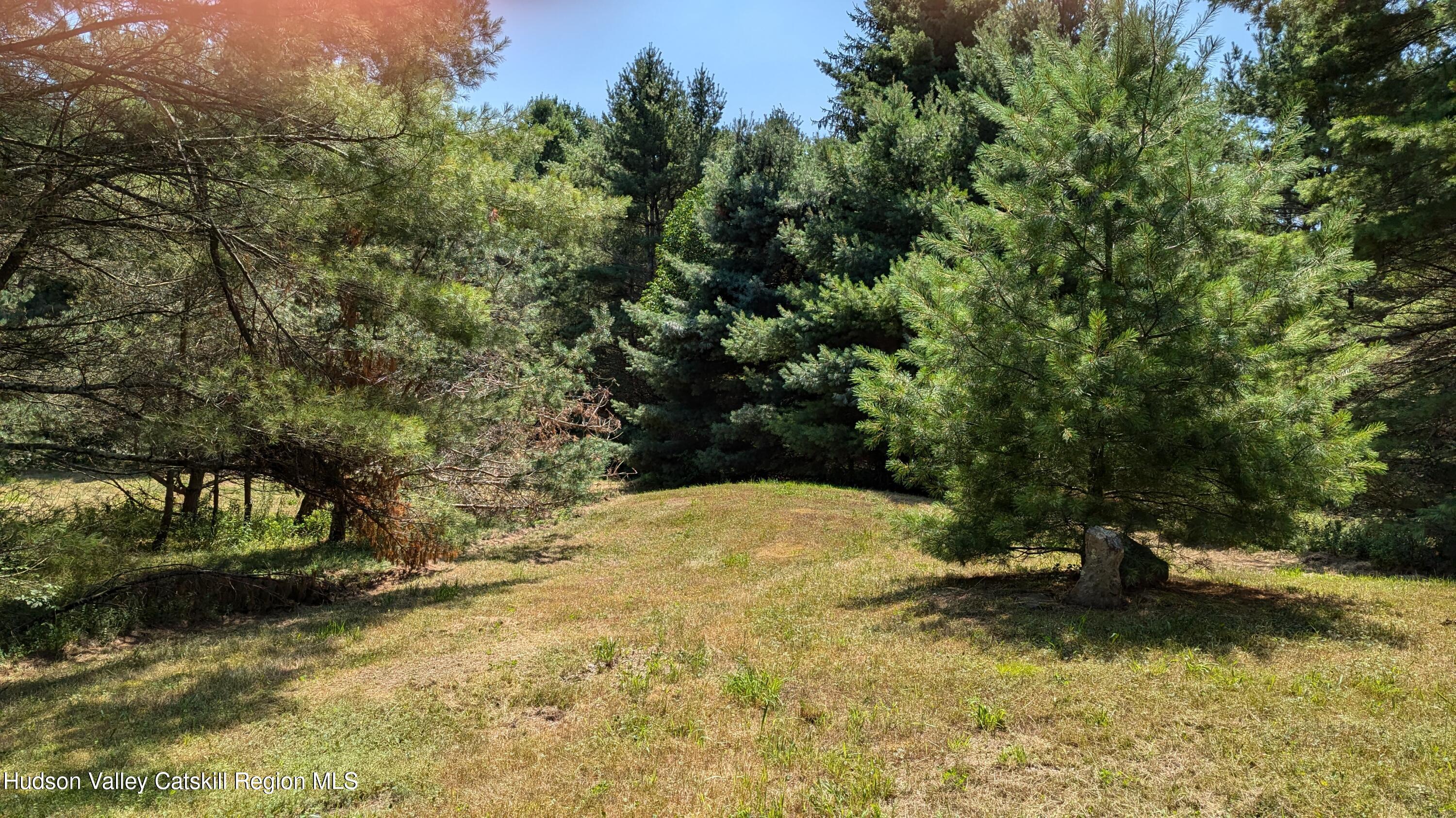 159 Mountain Pond View Road Gilboa, NY 12076 - Photo 22 of 23 PXL_20250802_174722334