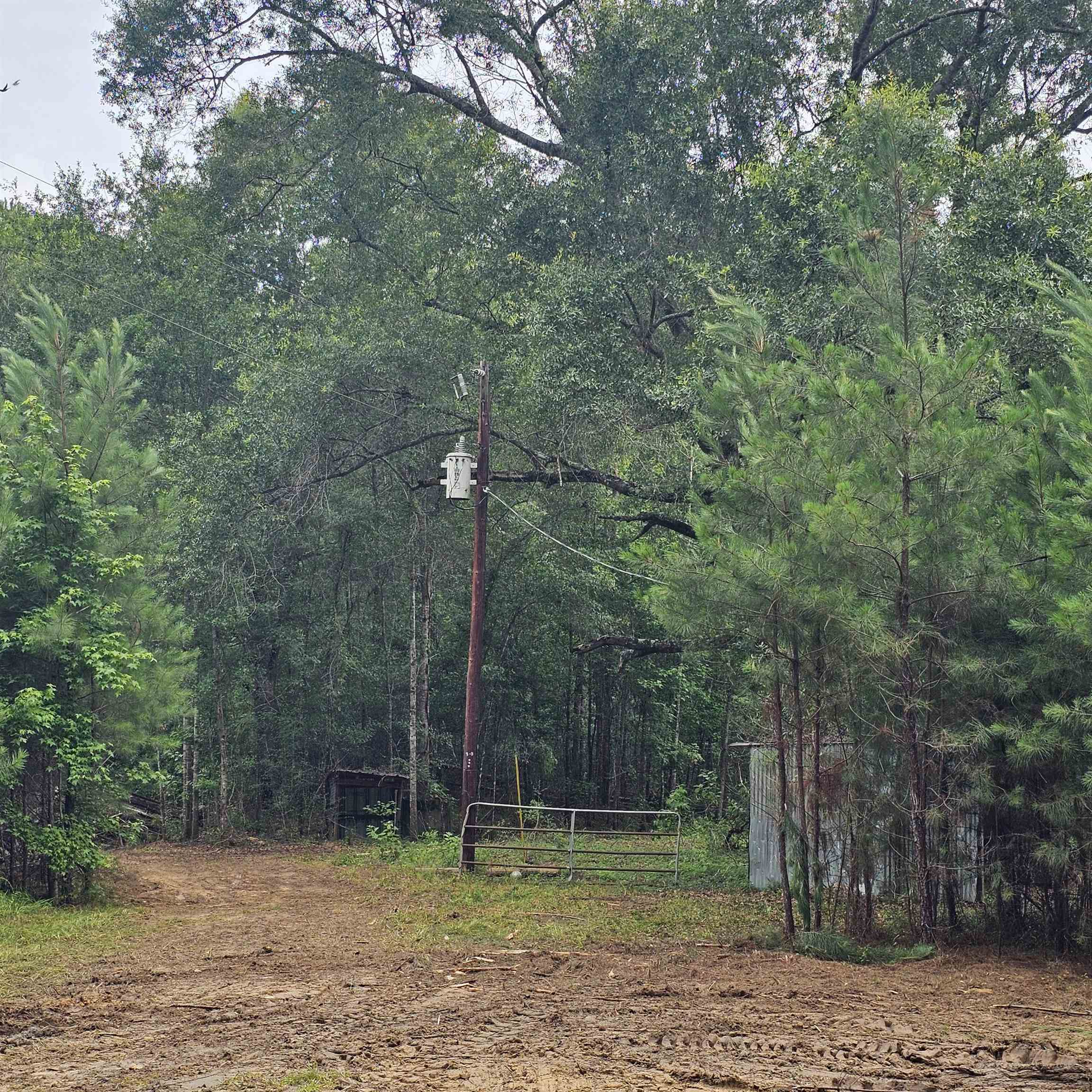 0 County Road 3110 Call, TX 75933 - Photo 8 of 40