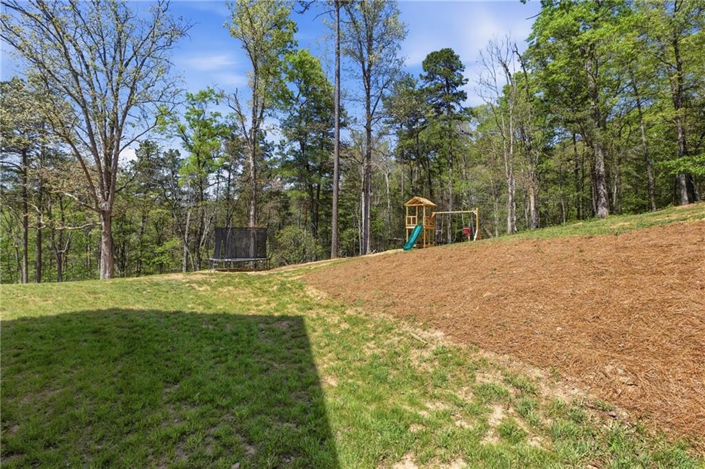 1655 Pardue Mill Road Demorest, GA 30535 - Photo 21 of 64