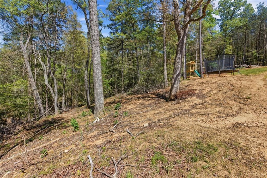 1655 Pardue Mill Road Demorest, GA 30535 - Photo 48 of 64