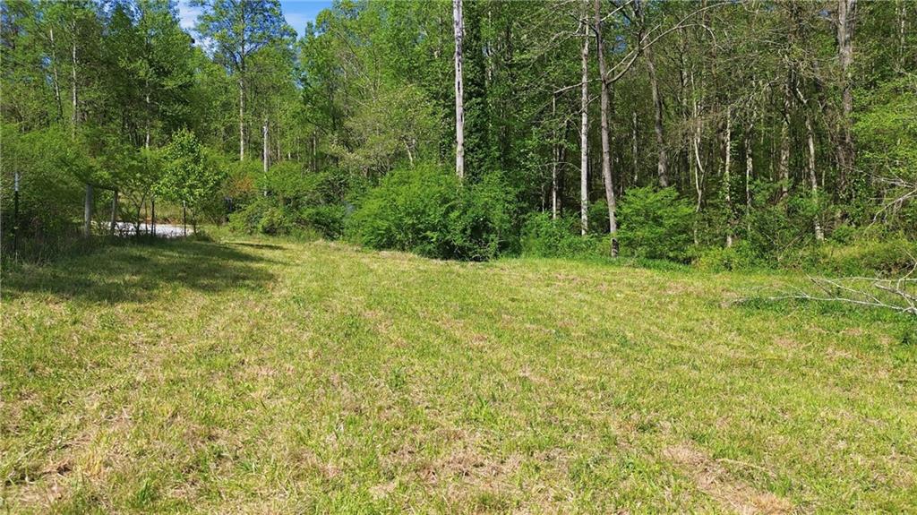 1655 Pardue Mill Road Demorest, GA 30535 - Photo 57 of 64