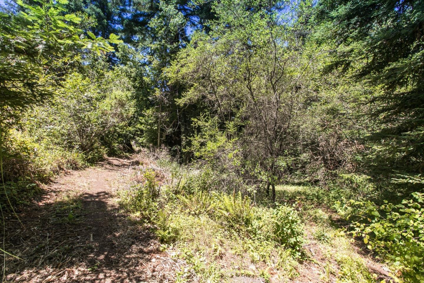 8 Timber Ridge Lane Scotts Valley, CA 95066 - Photo 58 of 62 Gallery Image 58