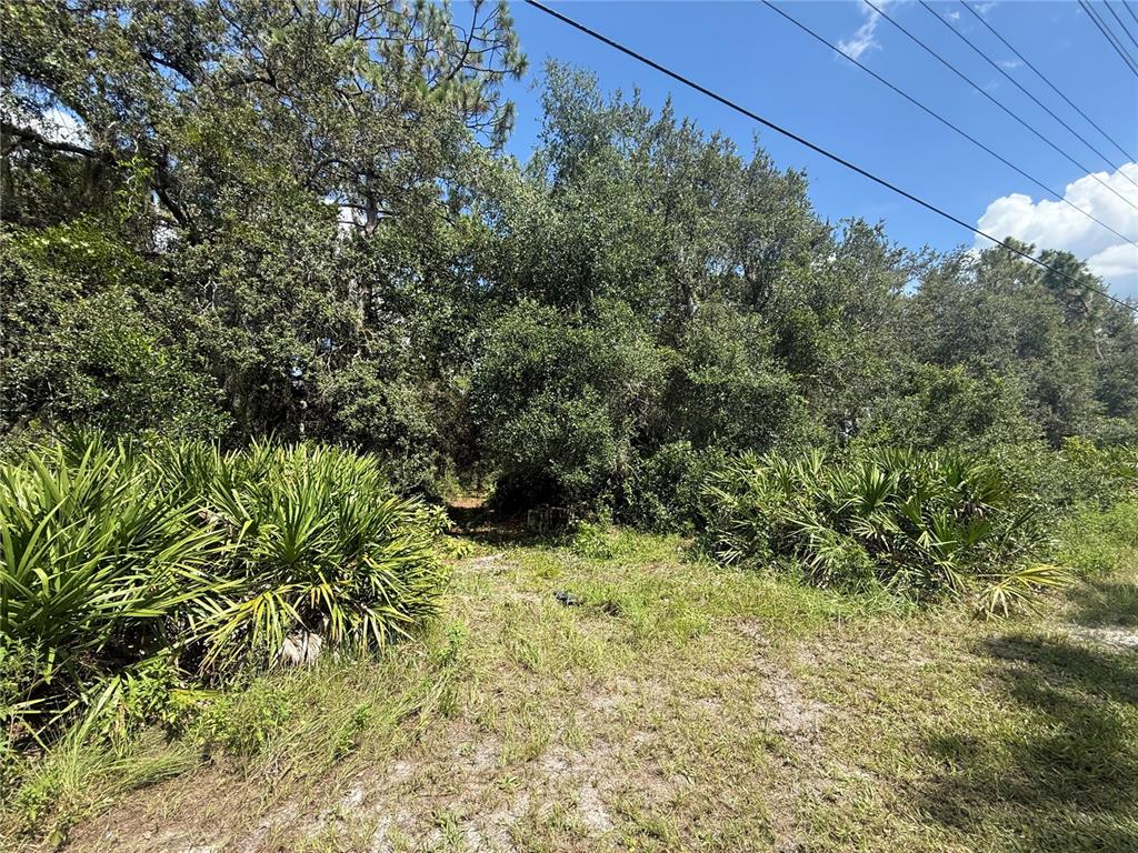 2521 Absher Road St. Cloud, FL 34771 - Photo 18 of 18 a view of a yard of a house