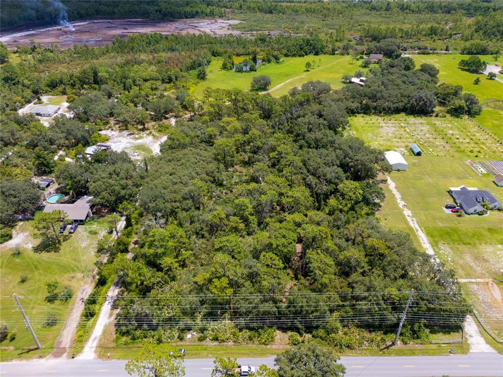 2521 Absher Road St. Cloud, FL 34771 - Photo 5 of 18 a view of a bunch of flowers