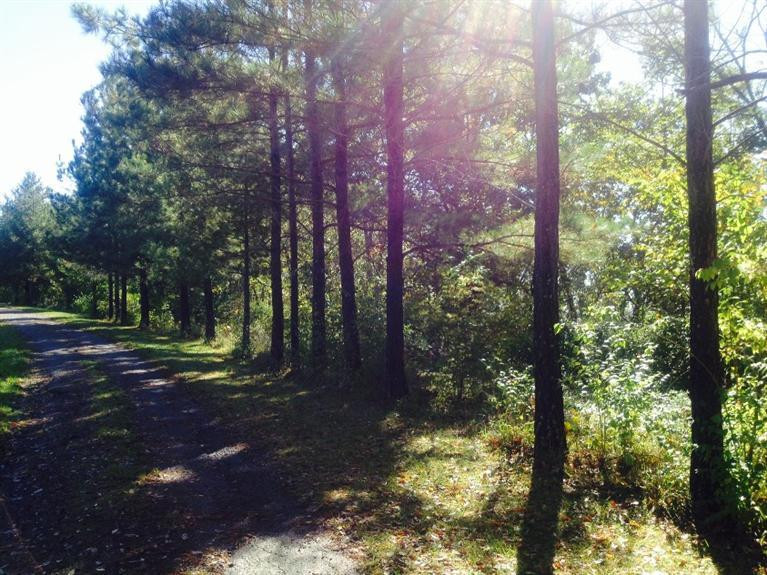 205 Old Eagle Tunnel Road Dry Ridge, KY 41035 - Photo 18 of 25