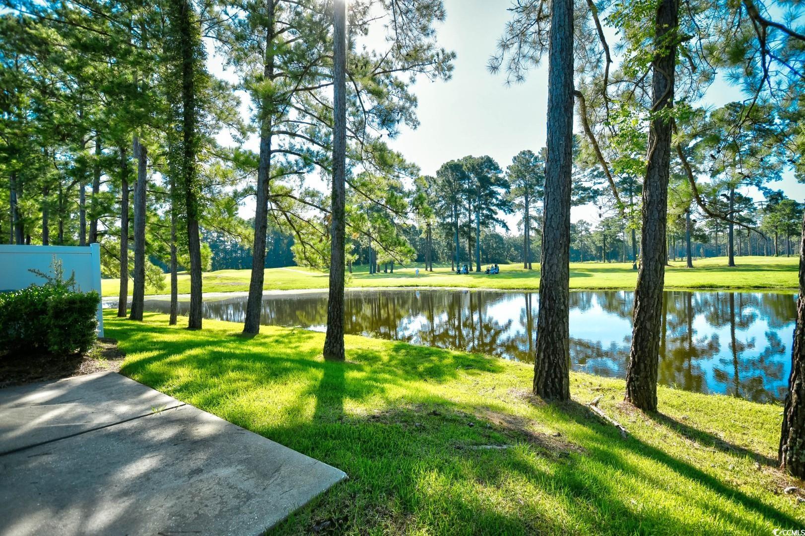 257 Connemara Drive, Unit E Myrtle Beach, SC 29579 - Photo 37 of 40