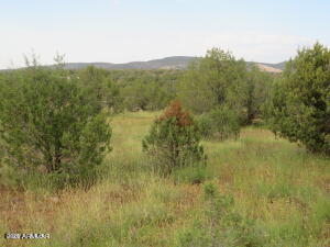 3961 Double A Ranch Road, Unit 146 Williams, AZ 86046 - Photo 1 of 11 DA 1