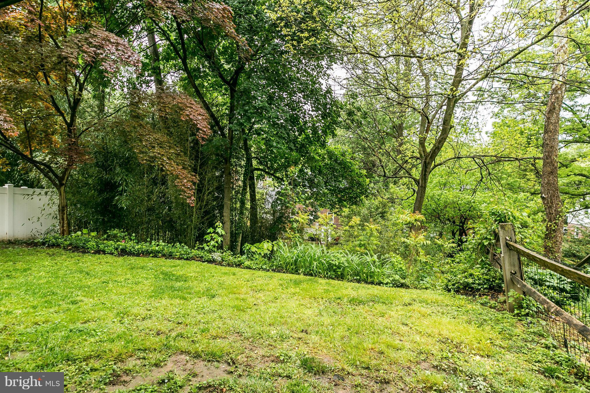 120 Stanmore Road Baltimore, MD 21212 - Photo 25 of 27 a view of outdoor space with a garden and trees