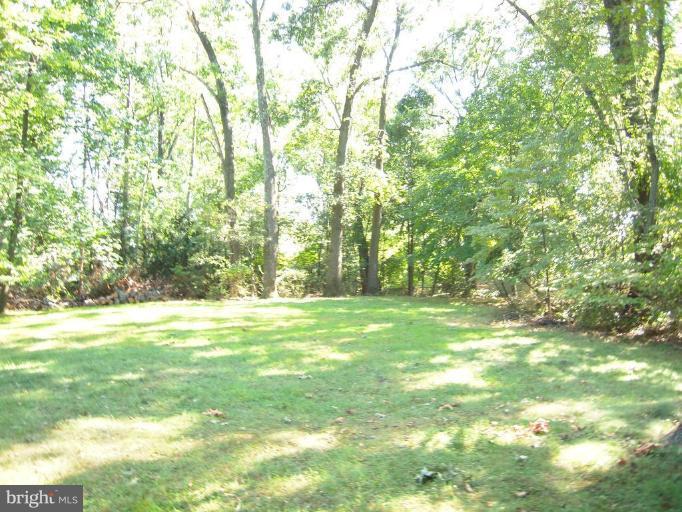 800 Stonington Road Silver Spring, MD 20902 - Photo 9 of 15 Gorgeous Private Lot on One + acreage