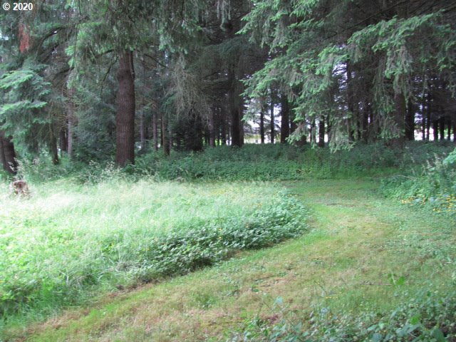 33370 Northwest Ej Smith Road Scappoose, OR 97056 - Photo 22 of 32 Gallery Image 22