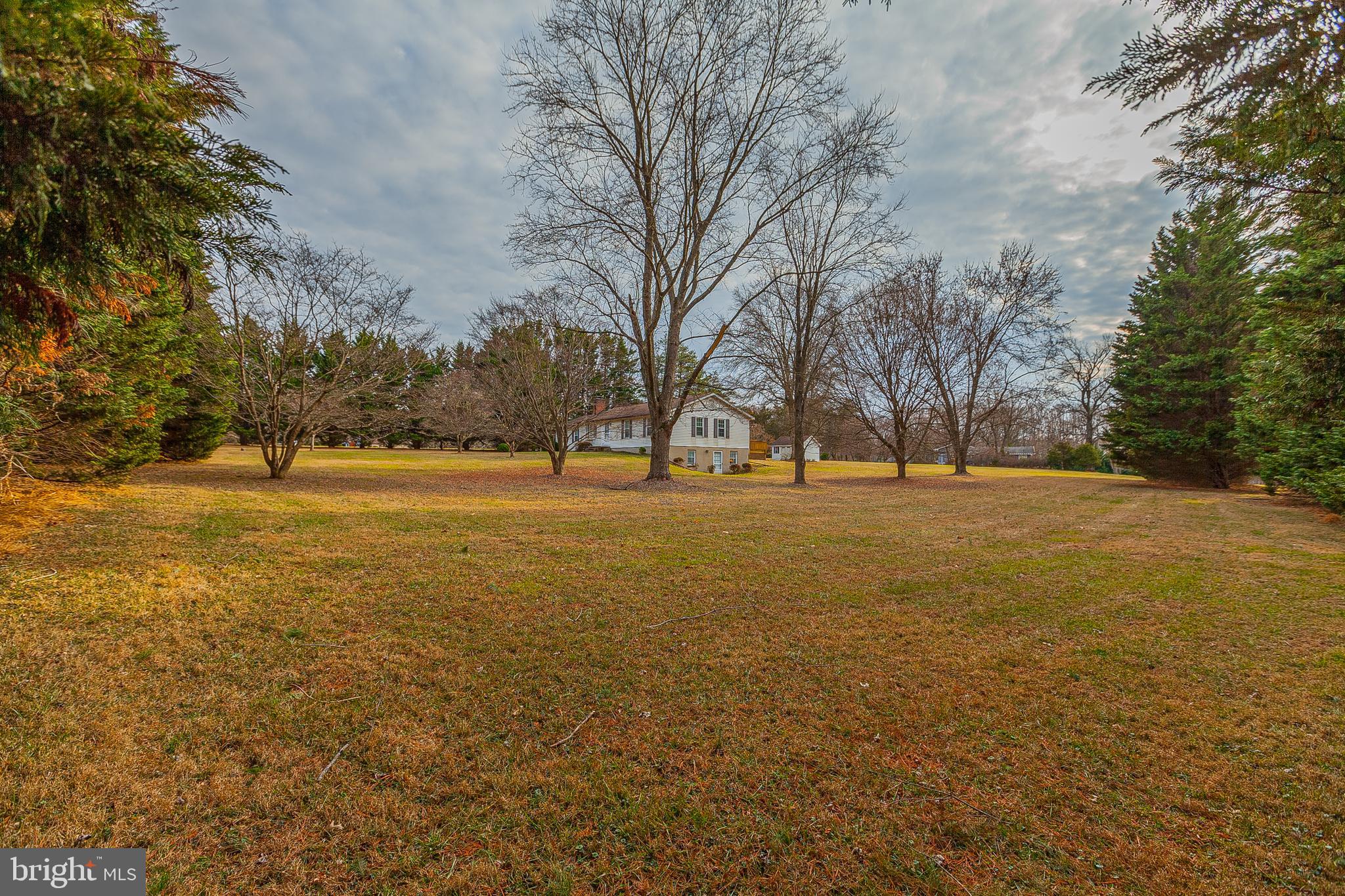 4706 Bready Road Rockville, MD 20853 - Photo 12 of 25 a view of yard with trees