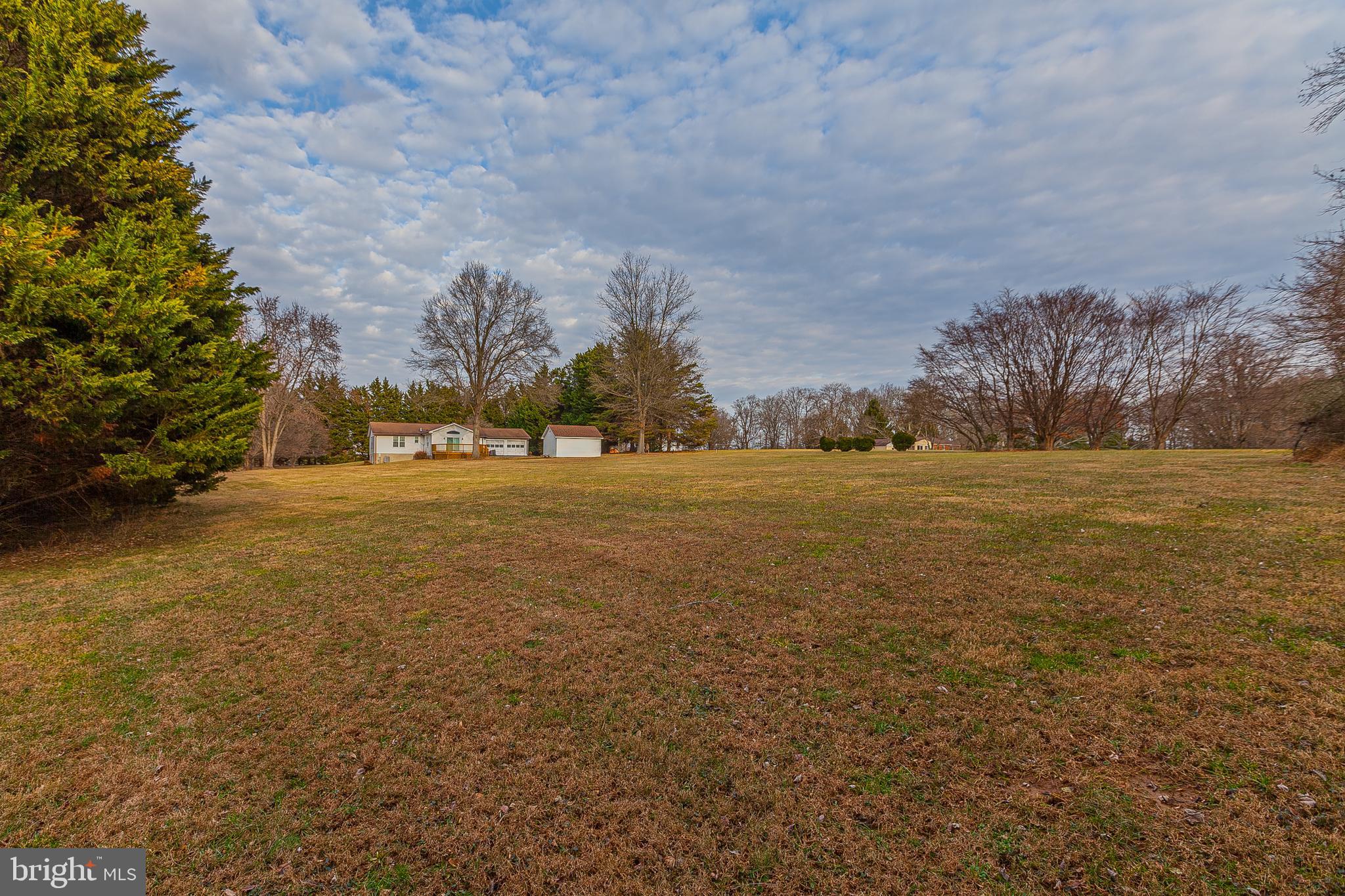 4706 Bready Road Rockville, MD 20853 - Photo 15 of 25 a view of yard with trees