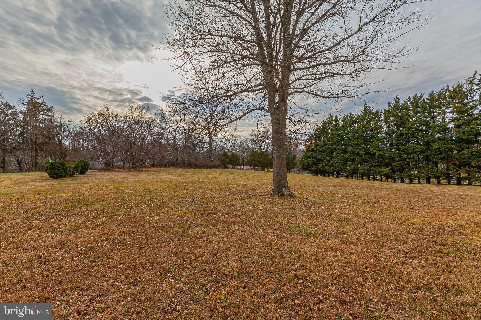 4706 Bready Road Rockville, MD 20853 - Photo 17 of 25 a view of large yard with large trees