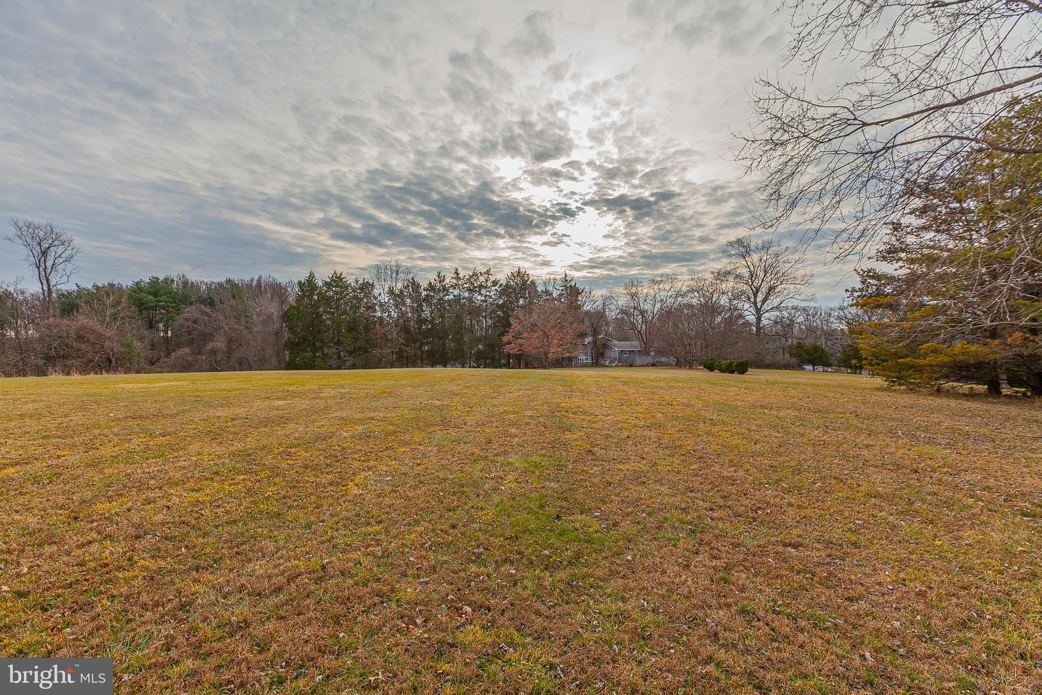4706 Bready Road Rockville, MD 20853 - Photo 22 of 25 a view of yard with swimming pool and trees