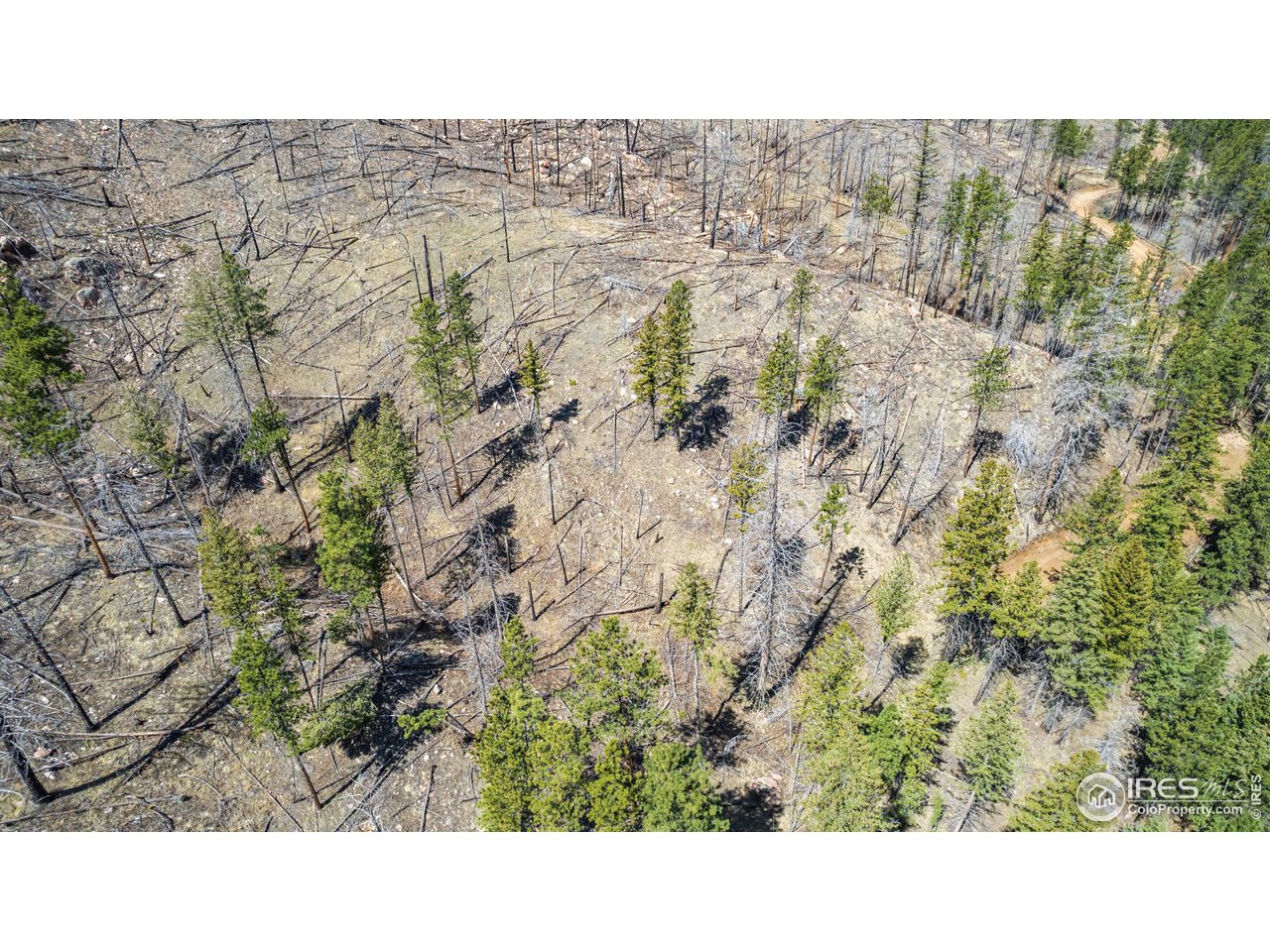 0 Stratton Park Road, Unit LOT 12 Bellvue, CO 80512 - Photo 8 of 17 a open area of a house with a yard