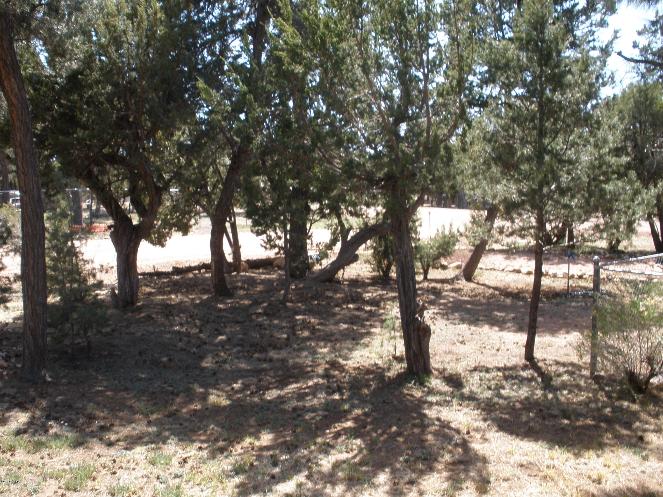 2108 Cottontail Road Overgaard, AZ 85933 - Photo 24 of 30