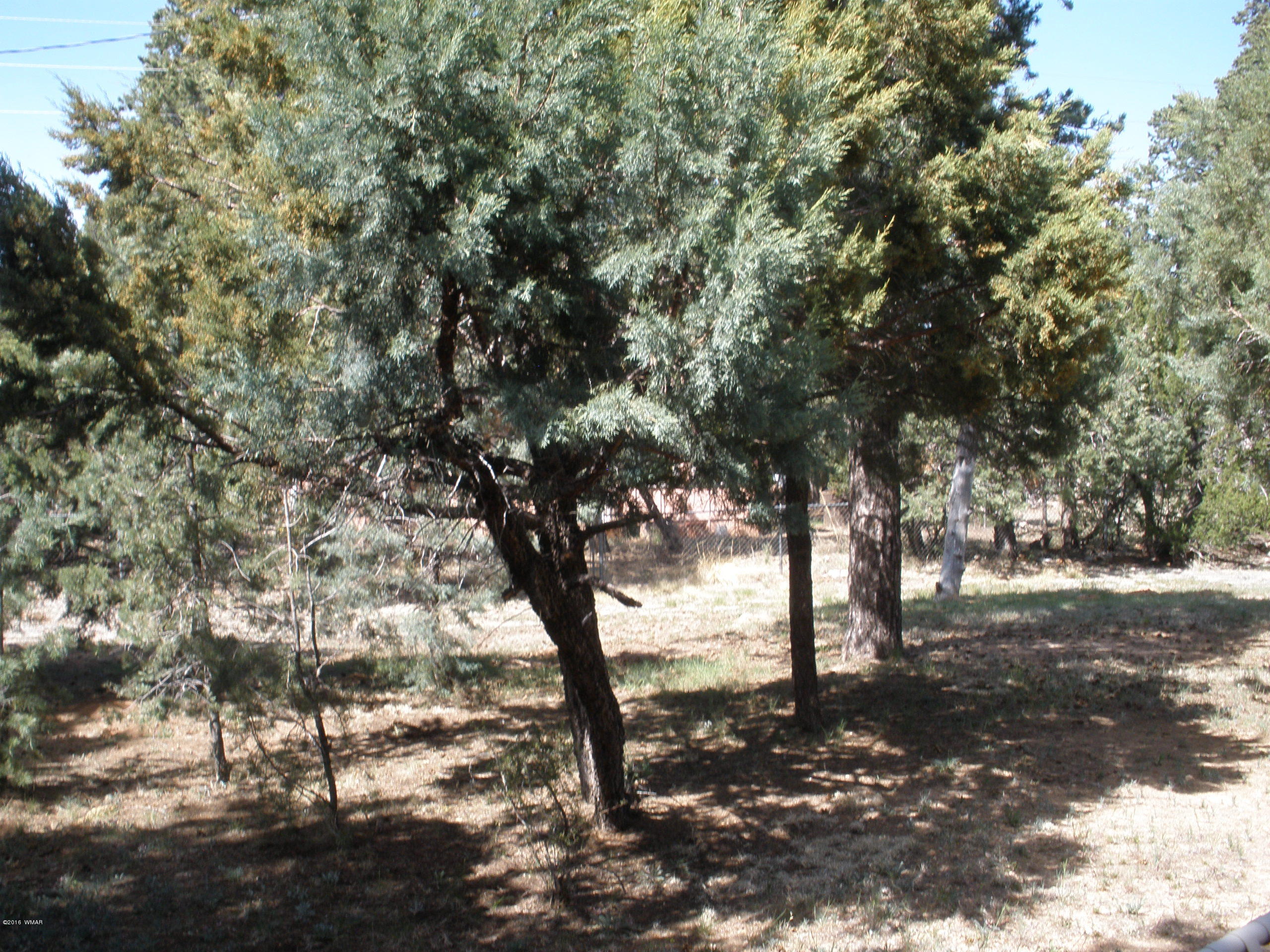 2108 Cottontail Road Overgaard, AZ 85933 - Photo 30 of 30
