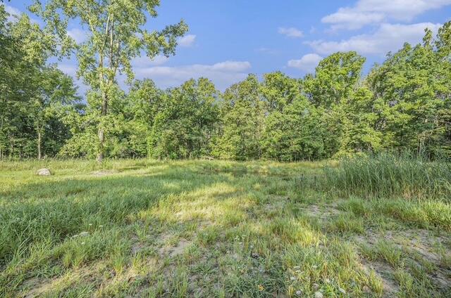 54942 Butcher Road Lawrence, MI 49064 - Photo 12 of 12 IMG_0092
