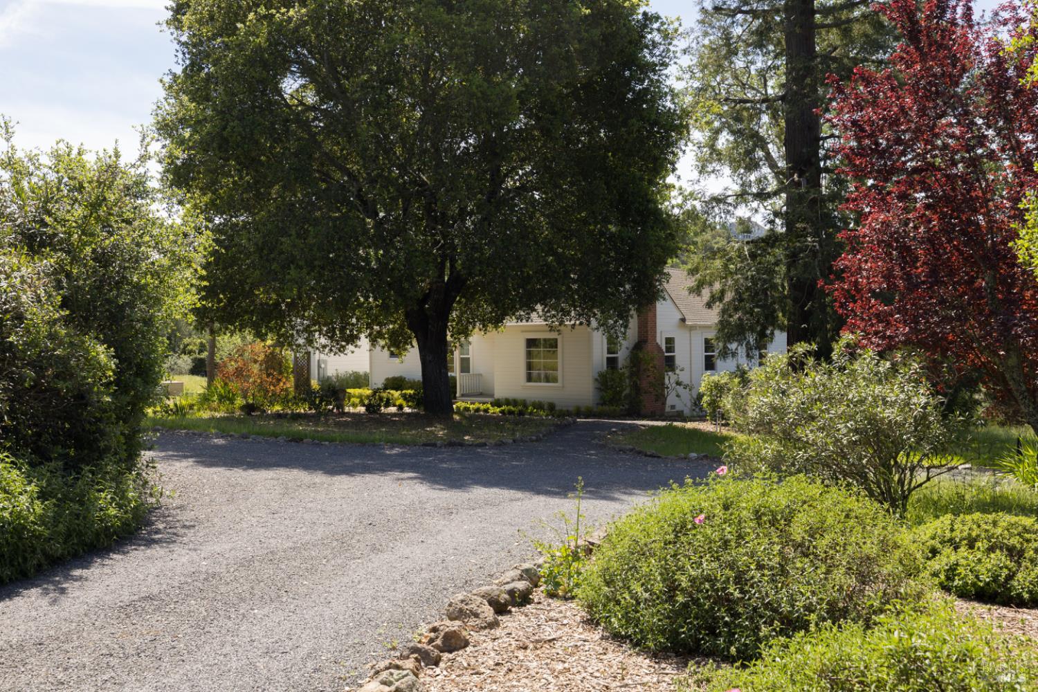 3525 Wood Valley Road Sonoma, CA 95476 - Photo 29 of 39 a view of a yard with plants and trees