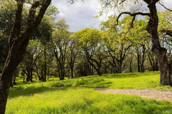 $5,995,000 | 3525 Wood Valley Road, Sonoma, CA 95476