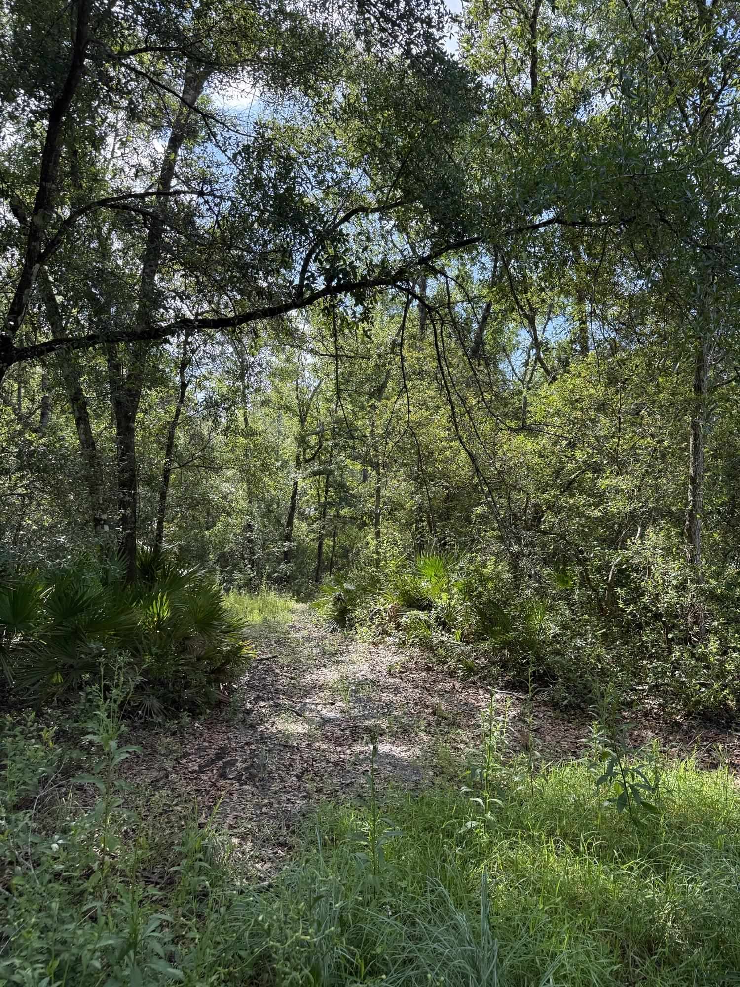 Xxx Neely Road Monticello, FL 32344 - Photo 25 of 37
