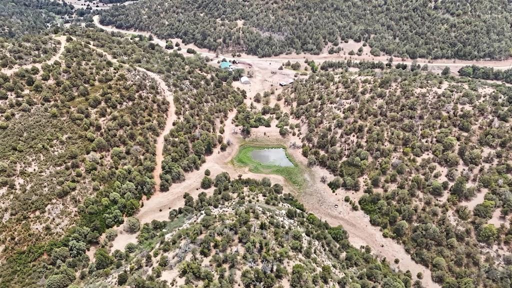 17001 Peacock Road Trinidad, CO 81082 - Photo 38 of 62