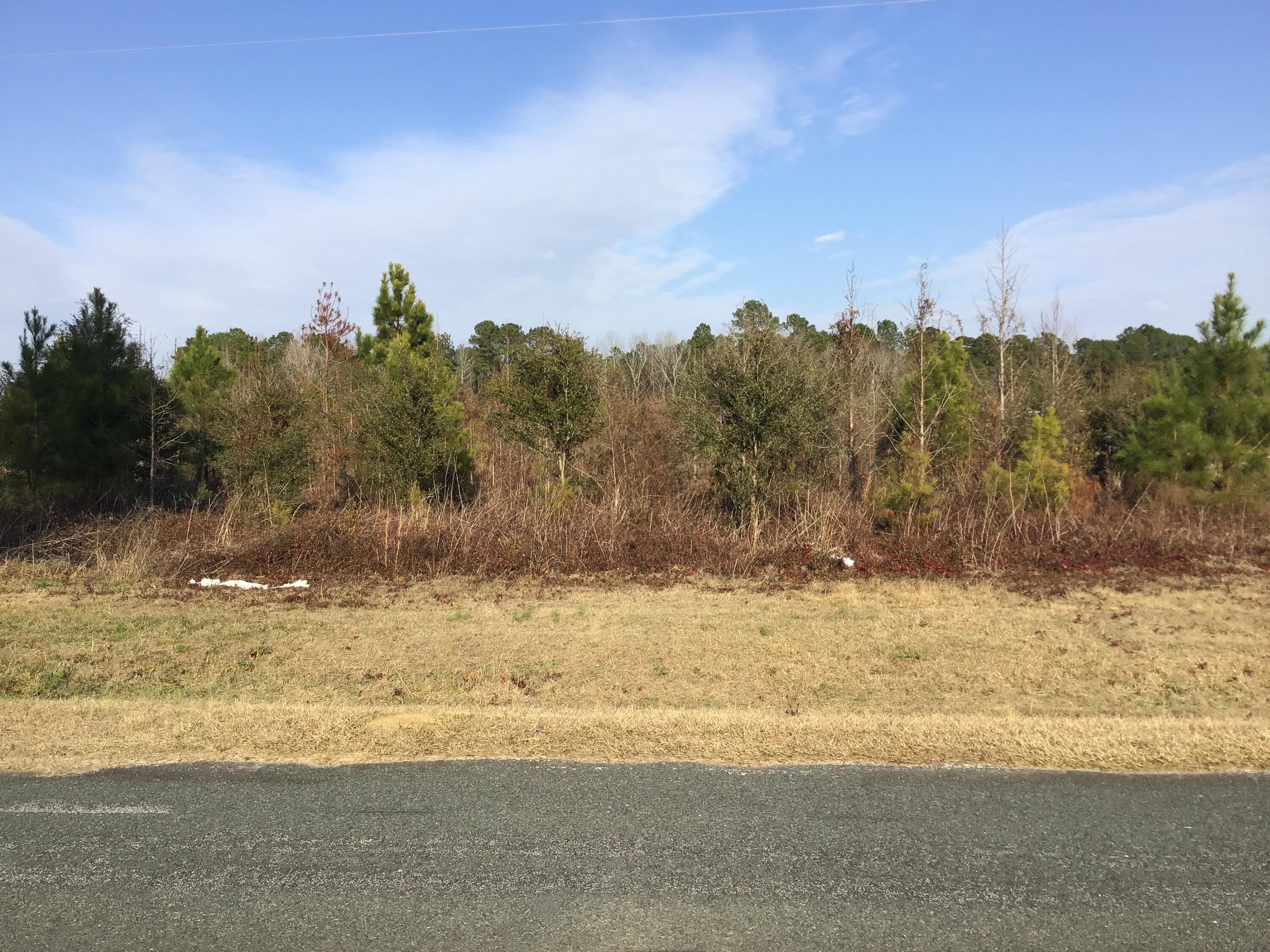 3392 State Rd S-14-28 Alcolu, SC 29001 - Photo 3 of 6 DC3824B4-CFA5-416B-B577-3D2E050DB2D2