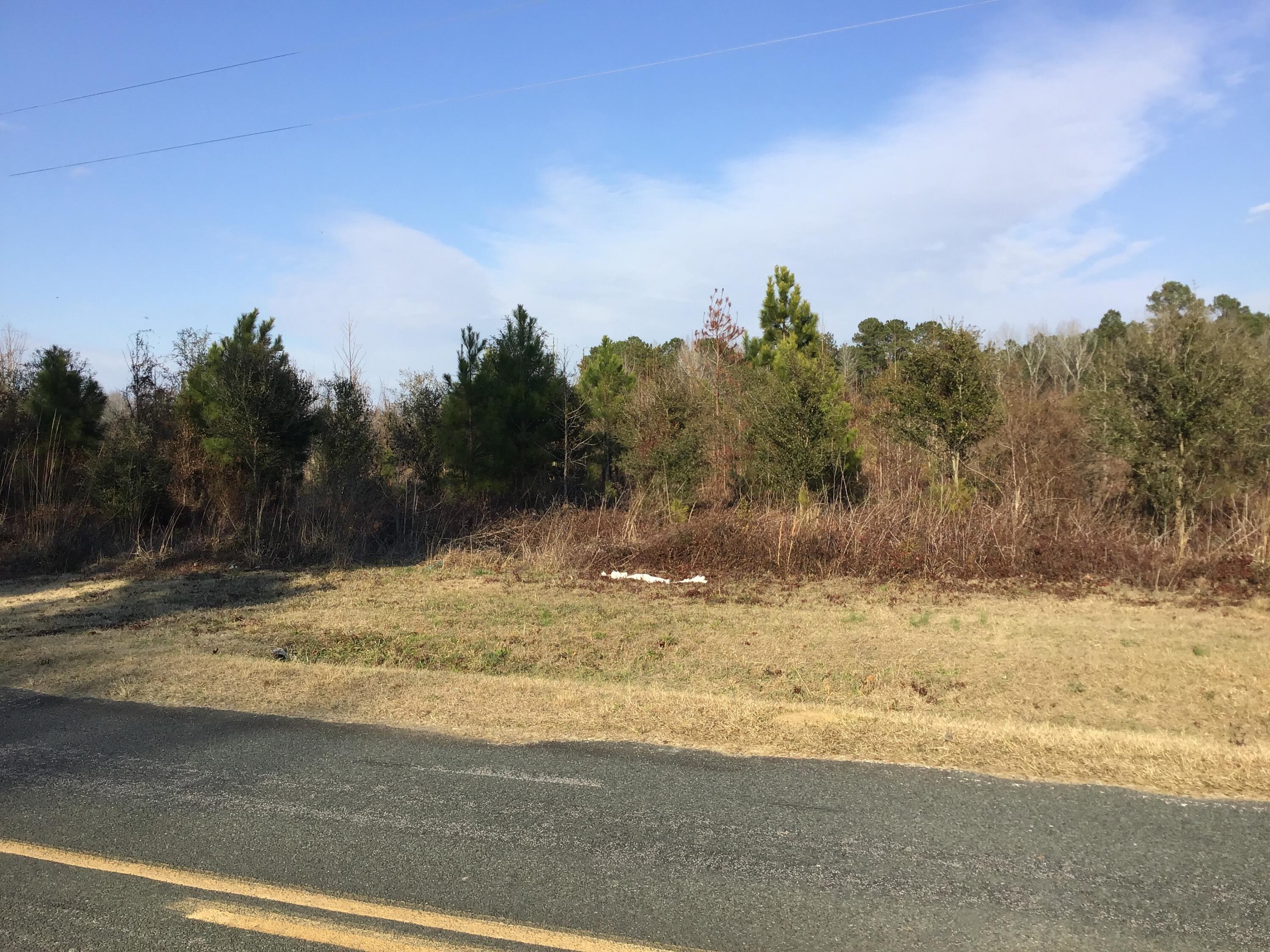 3392 State Rd S-14-28 Alcolu, SC 29001 - Photo 4 of 6 7CEC1897-B9FA-40D9-8ADC-CC965FA69CE7