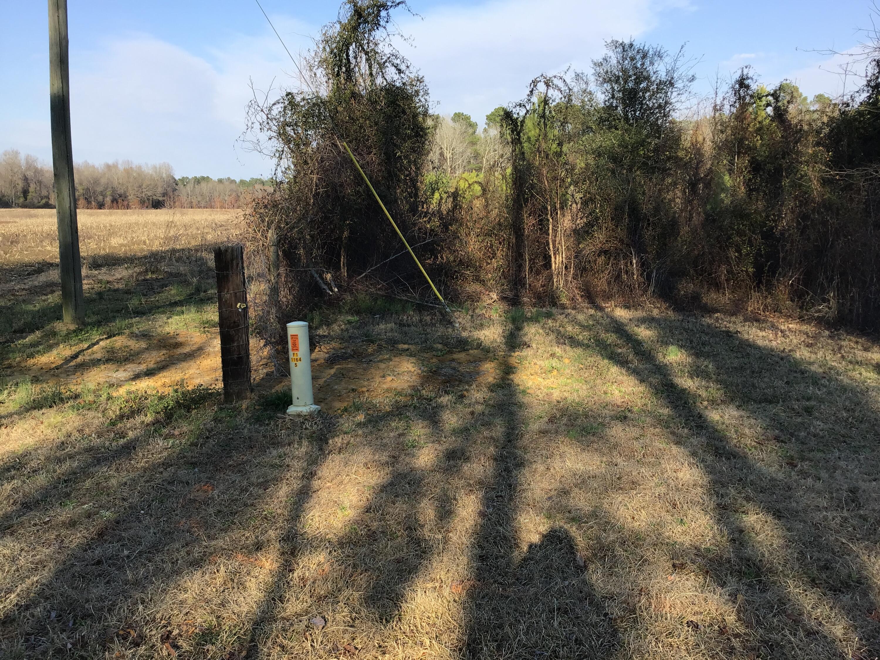 3392 State Rd S-14-28 Alcolu, SC 29001 - Photo 6 of 6 6607505A-55B6-4FFC-B4F7-44EBC8B16A8F
