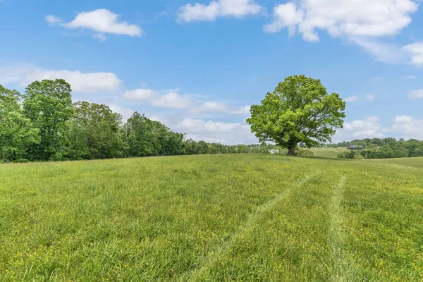 $375,000 | 1528 Fairfield Road, Westmoreland, TN 37186