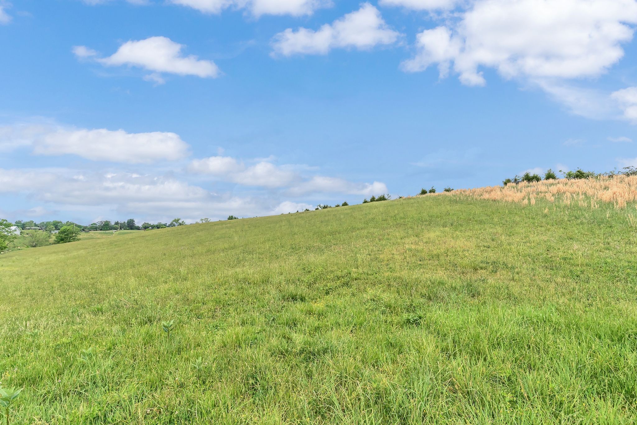 1528 Fairfield Road Westmoreland, TN 37186 - Photo 11 of 41 a view of a green field