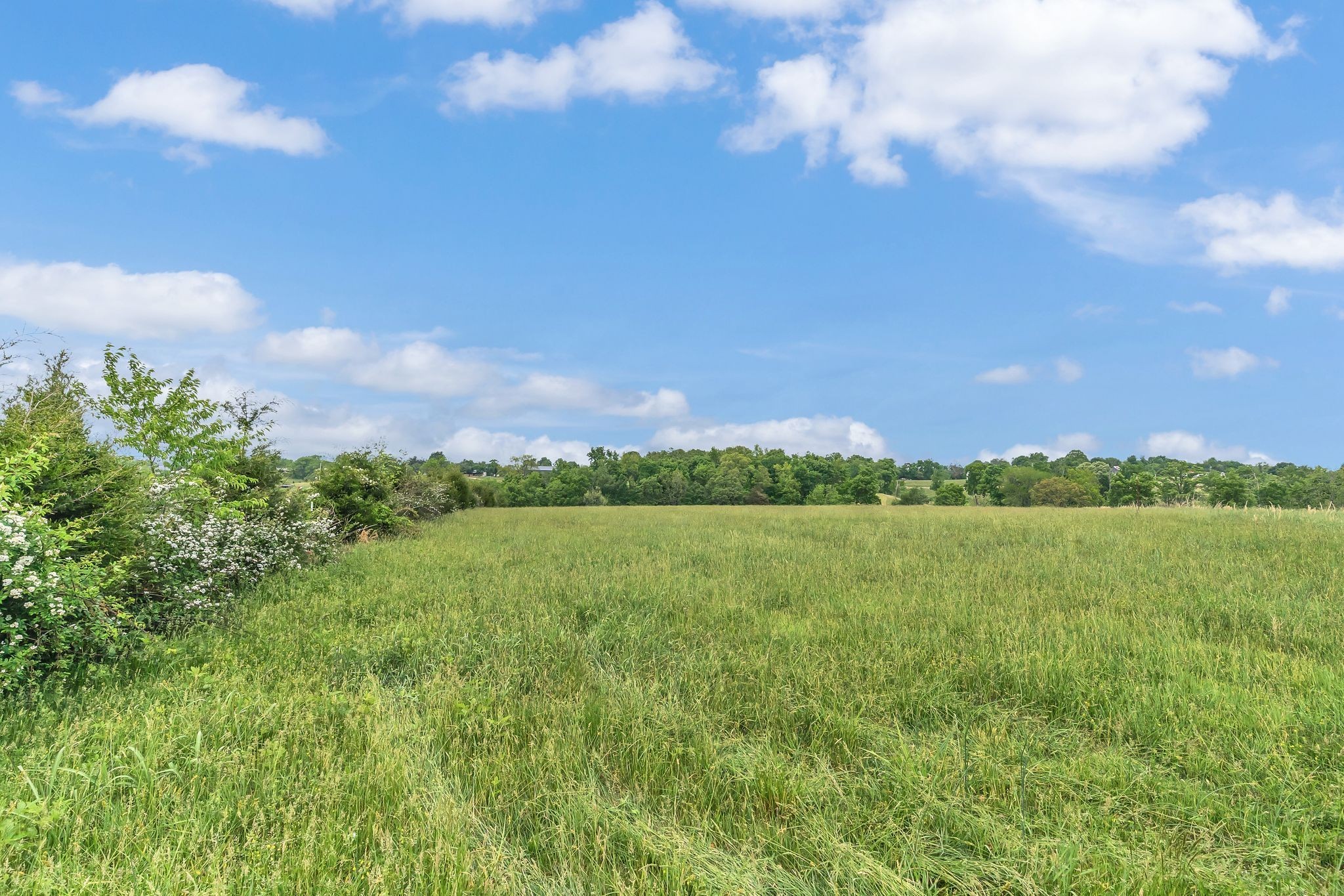 1528 Fairfield Road Westmoreland, TN 37186 - Photo 12 of 41