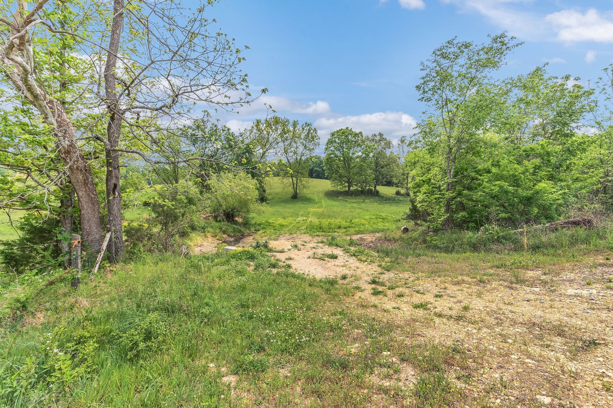 1528 Fairfield Road Westmoreland, TN 37186 - Photo 15 of 41 a view of a yard with a tree