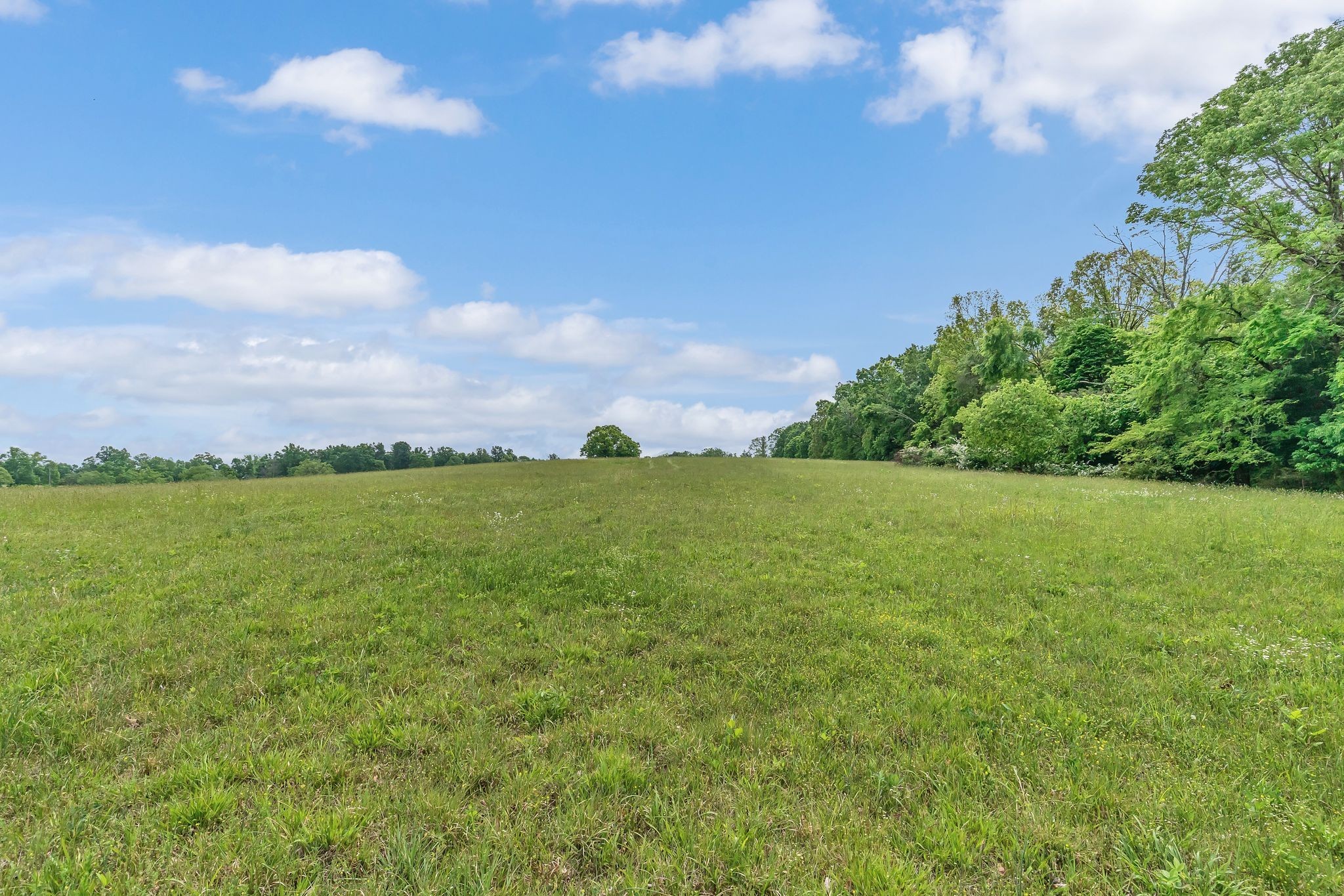 1528 Fairfield Road Westmoreland, TN 37186 - Photo 16 of 41 a view of a city