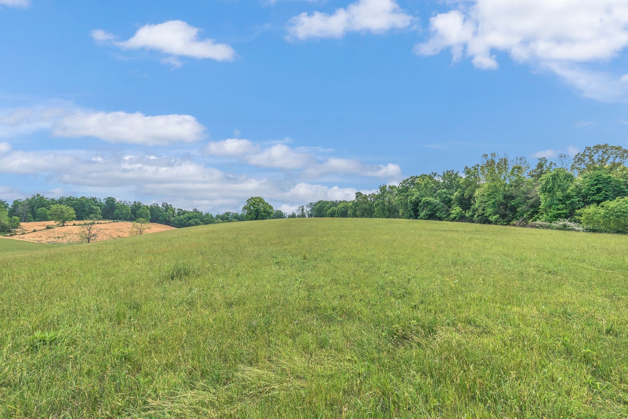 1528 Fairfield Road Westmoreland, TN 37186 - Photo 18 of 41 a view of a city