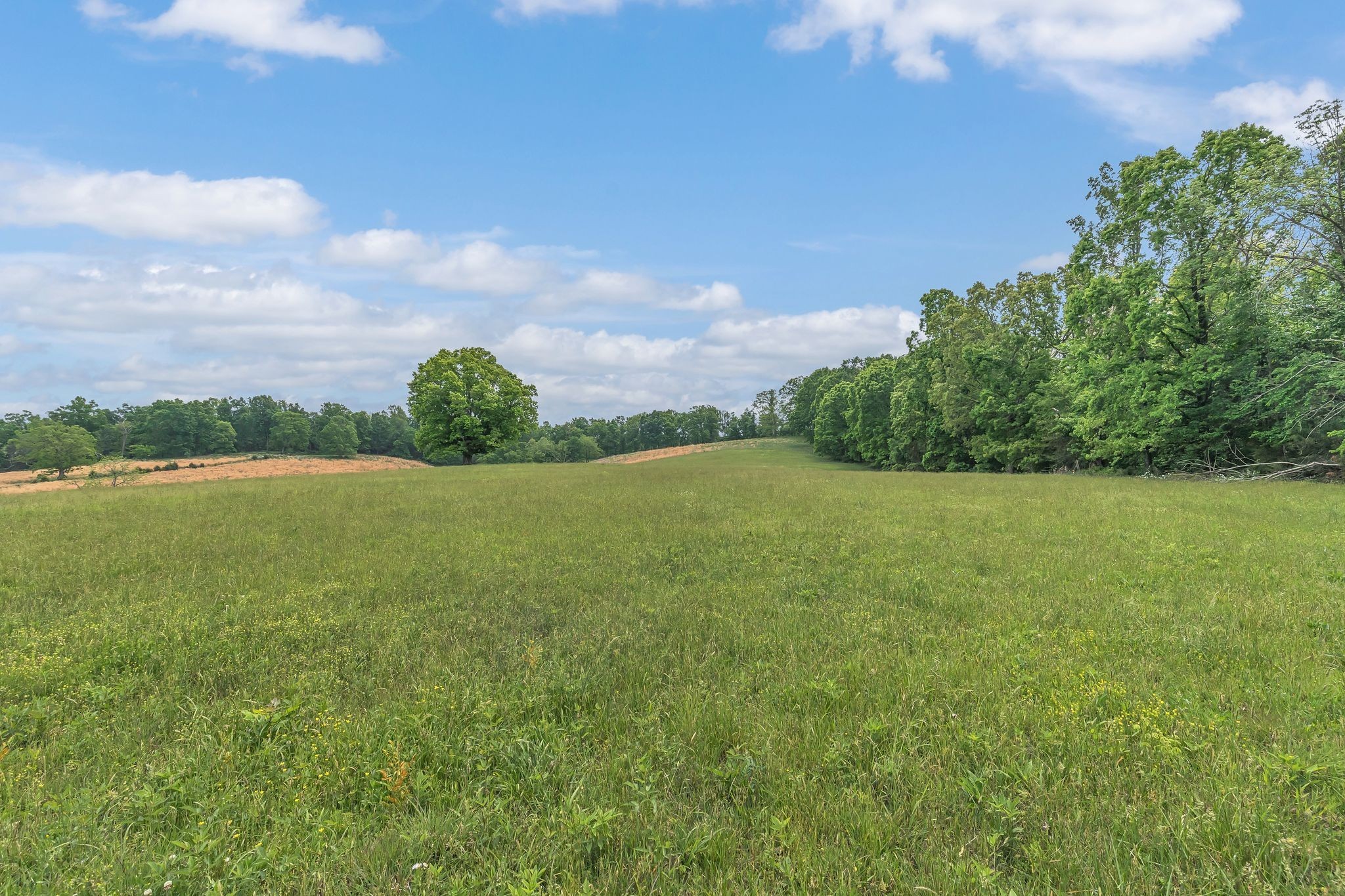 1528 Fairfield Road Westmoreland, TN 37186 - Photo 19 of 41 a view of a lake with a big yard