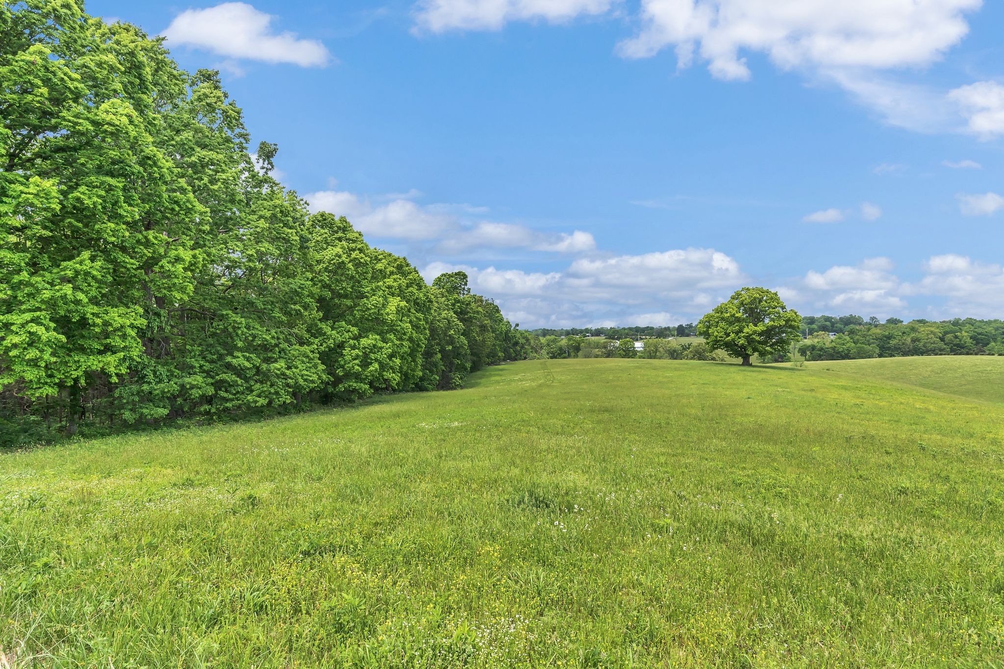 1528 Fairfield Road Westmoreland, TN 37186 - Photo 20 of 41 a view of a field with an trees