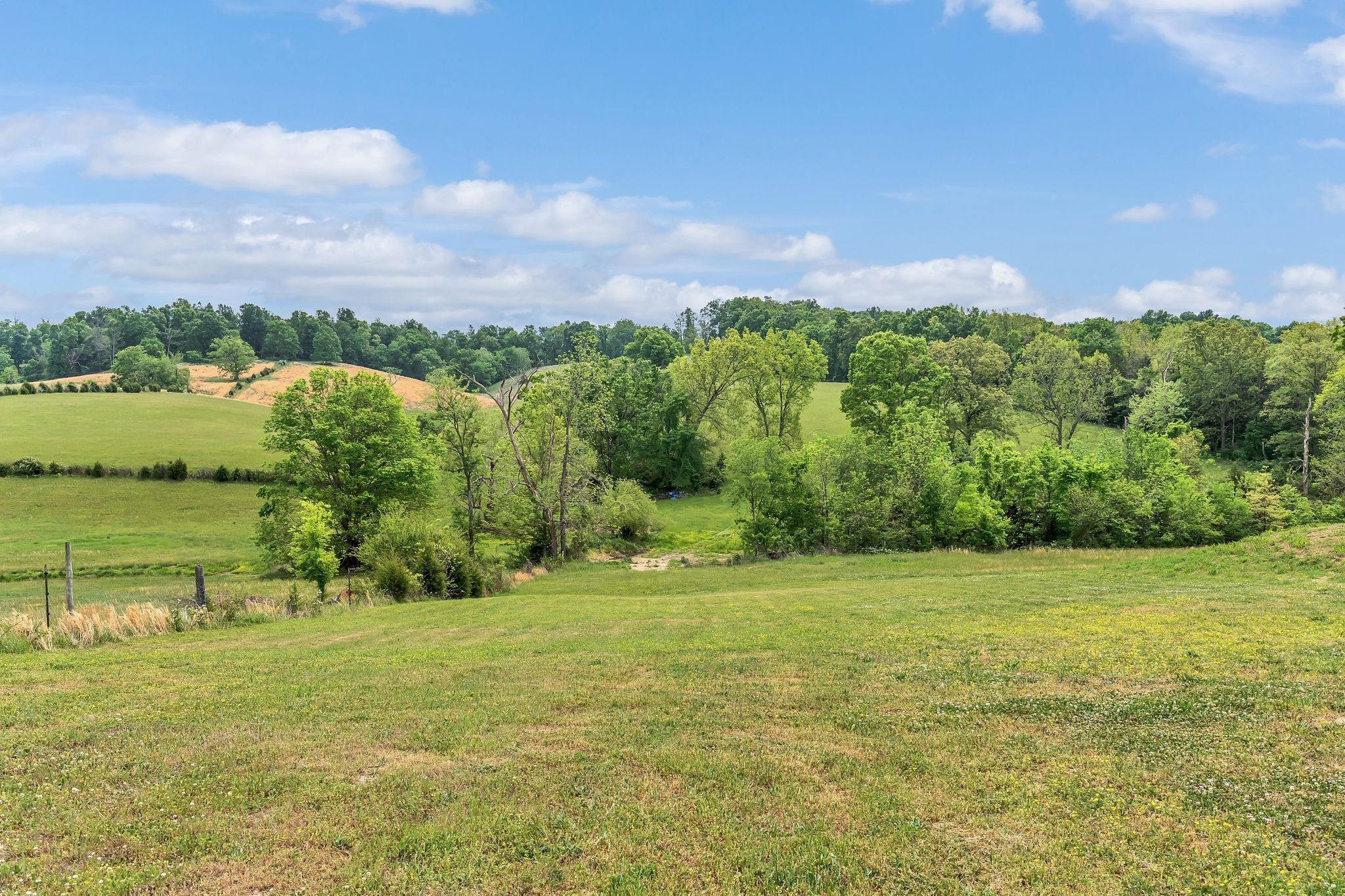 1528 Fairfield Road Westmoreland, TN 37186 - Photo 2 of 41 a view of a field with an ocean