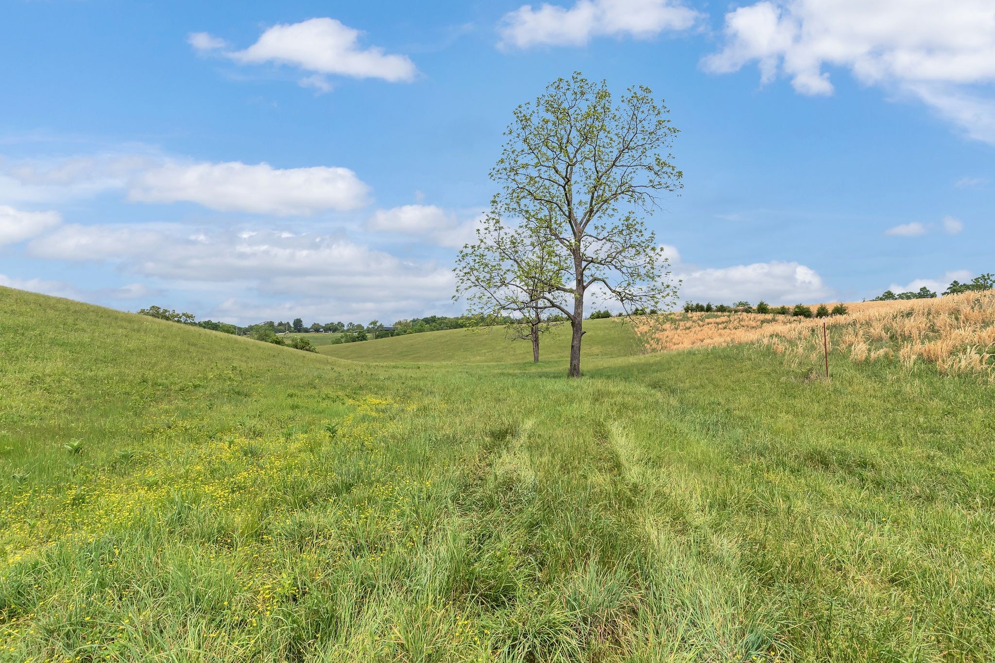 1528 Fairfield Road Westmoreland, TN 37186 - Photo 21 of 41 a view of an ocean from a yard