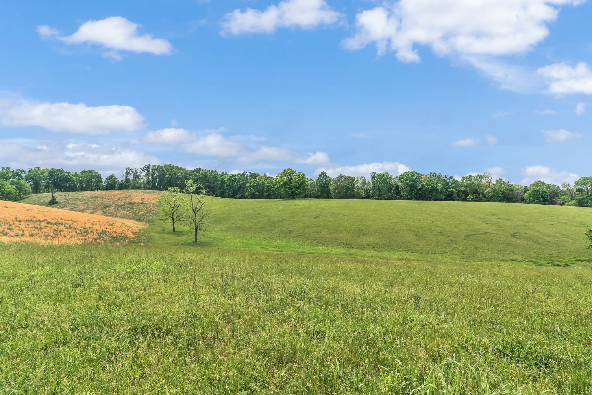 1528 Fairfield Road Westmoreland, TN 37186 - Photo 23 of 41 a view of a lake with houses in the back
