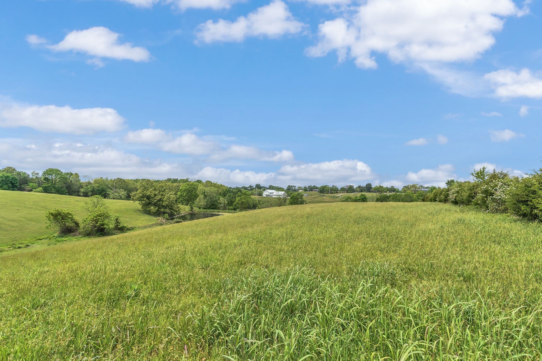 1528 Fairfield Road Westmoreland, TN 37186 - Photo 24 of 41 a view of an ocean and a yard