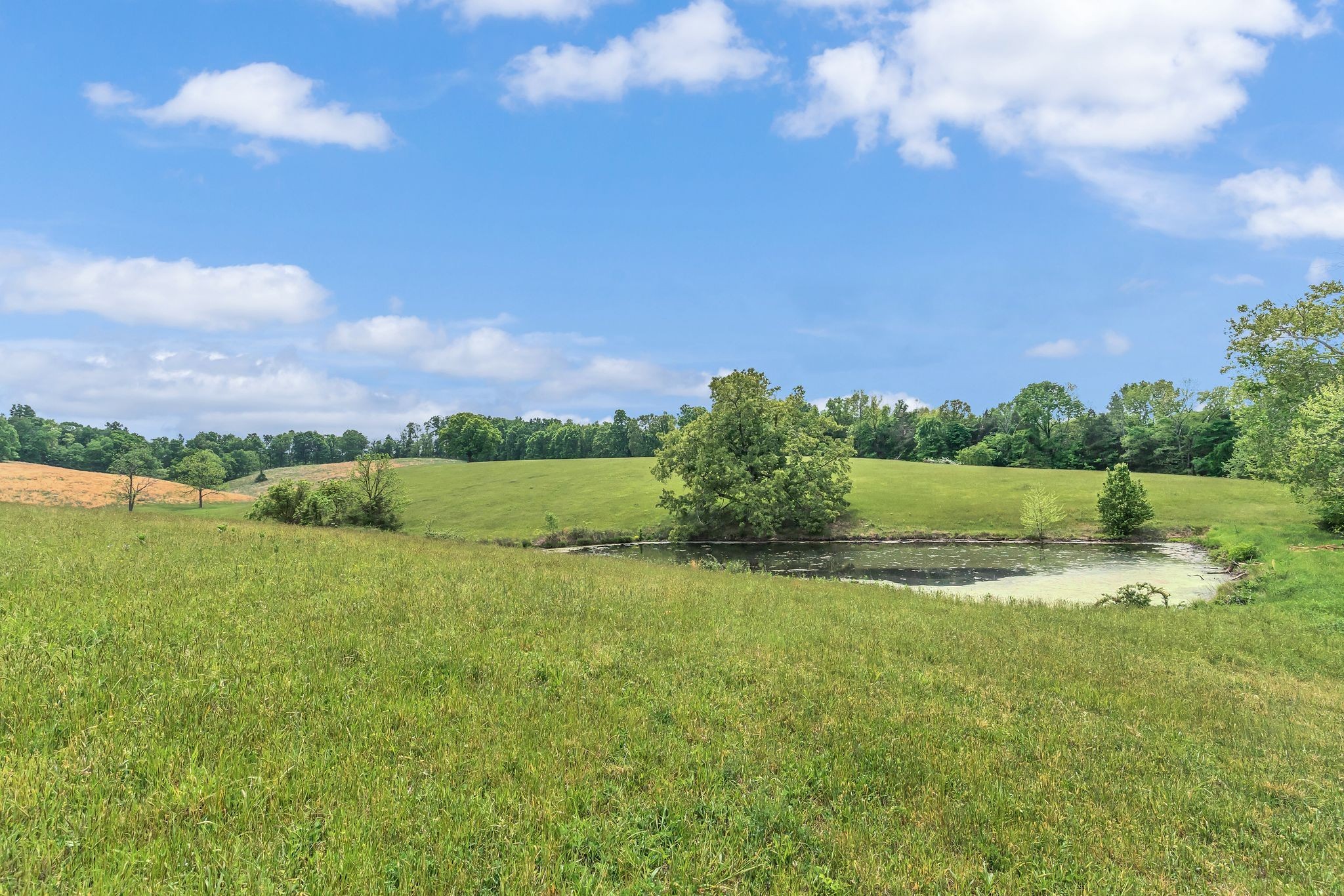1528 Fairfield Road Westmoreland, TN 37186 - Photo 25 of 41 a view of a lake and a yard